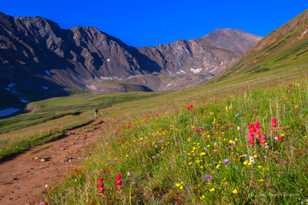 Grays Peak-0503.jpg Grays Peak-0503.jpg